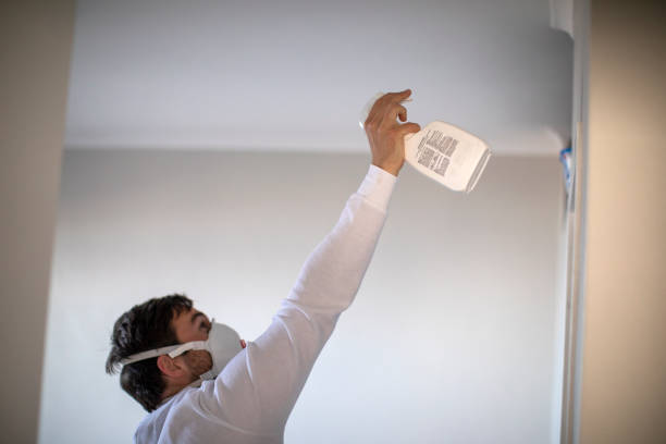 Best Mold Testing and Removal  in Ruidoso Downs, NM