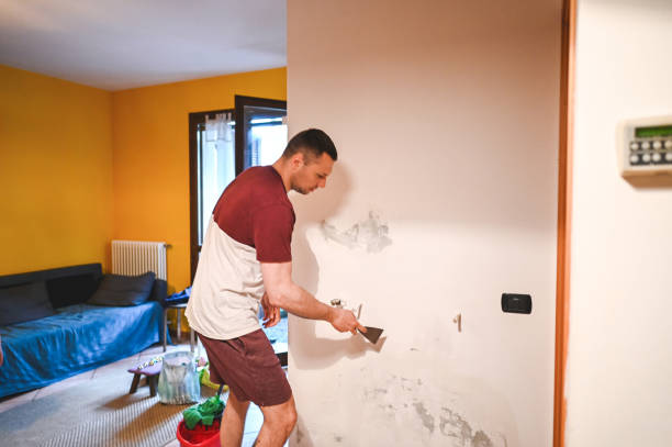 Best Office Mold Removal Services  in Ruidoso Downs, NM